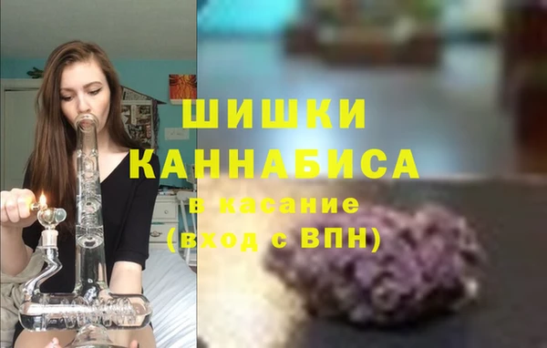 винт Абаза