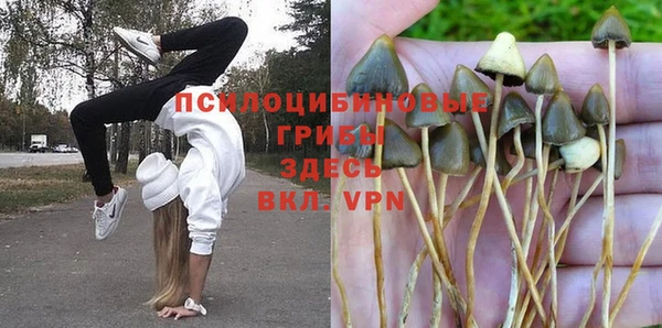 бошки Абинск