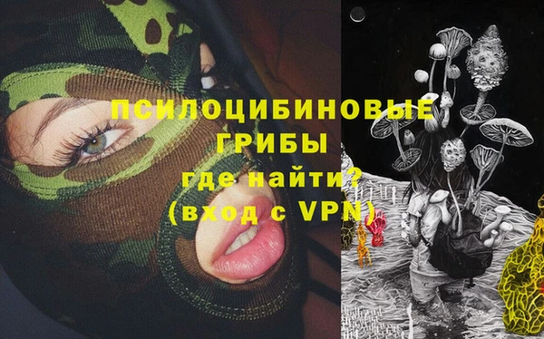 винт Абаза