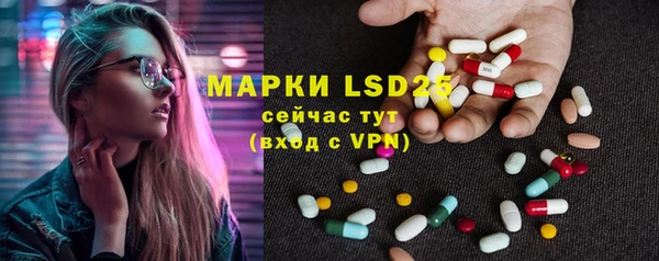 винт Абаза