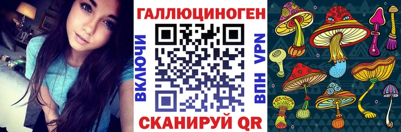 даркнет формула  Хасавюрт  Галлюциногенные грибы Psilocybine cubensis 